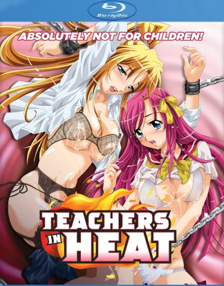 Teachers In Heat - Blu- Ray DVD