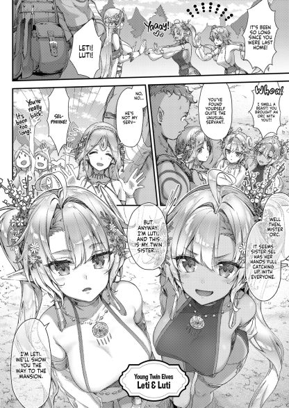Journey to the Forest of the Sexy Elves