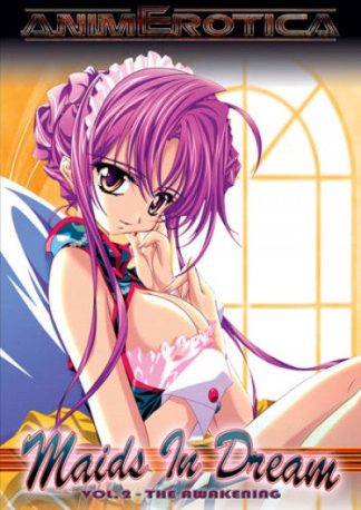 Maids in Dream 2